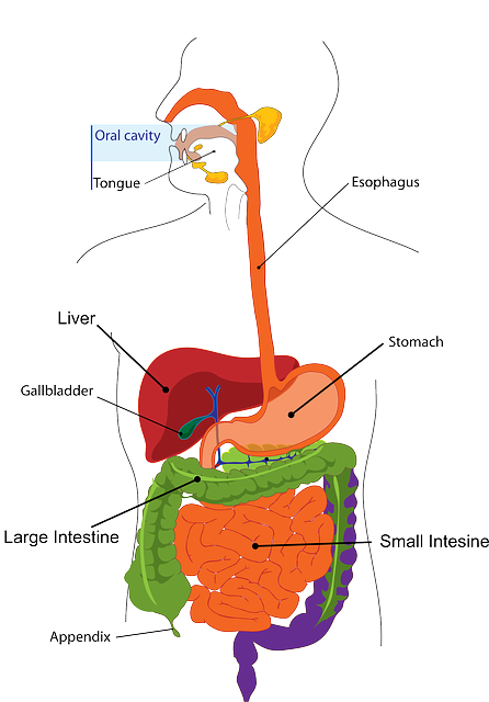 laparoscopia-cirugia-a-traves-de-ombligo